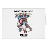 Smooth Muscle Inside (Gray's Anatomy Heart) Cards