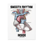 Smooth Rhythm Inside (Medical Anatomical Heart) postcards