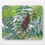 Smooth Sumac Berries Mousepad