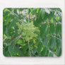 Smooth Sumac Flowers Mousepad