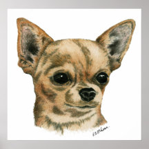 Smoothcoat Chihuahua Champion Poster