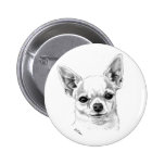 Smoothcoat chihuahua pins