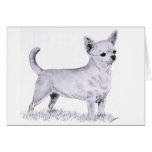 Smoothcoat chihuahua - standing greeting card