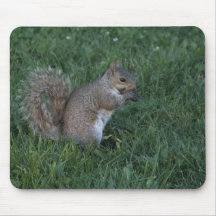 Snack Time Mouse Mat