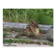 Snack time postcards