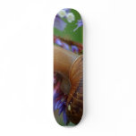 Snail Animal skateboards