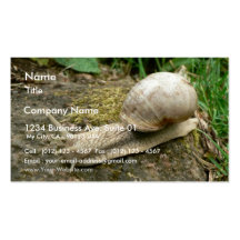 Snail Business Card Templates