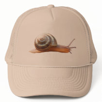 Snail ~ hat