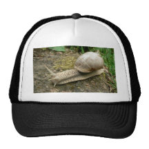 Snail Hats