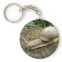 Snail keychains