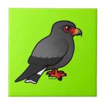 Snail Kite Ceramic Tile