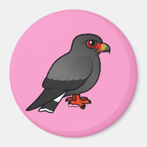 Snail Kite Magnet