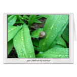 snail-mail greeting cards