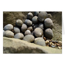Snail Mail Greeting Card