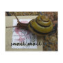 Snail mail postcards