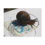 snail mail postcards