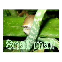 Snail mail postcard