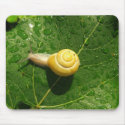 Snail mousepads