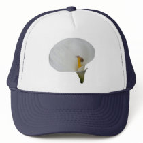 Snail on Arum Lily Hat