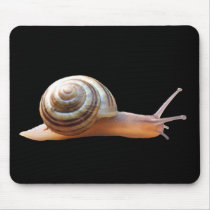 Snail on black ~ mousepad