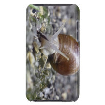 Snail Photo iPod Case-Mate Case