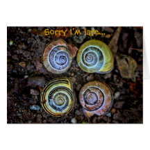 Snail Shells Belated Birthday Card