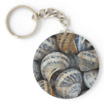 Snail shells key chain