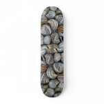 Snail shells skateboards