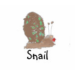 Snail Shirt by Miss Bailey