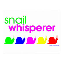 Snail Whisperer Postcards