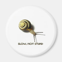 SNAIL WITH CAPTION FROM JUNGLEWALK.COM MAGNETS