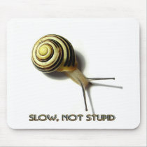 SNAIL WITH CAPTION FROM JUNGLEWALK.COM
