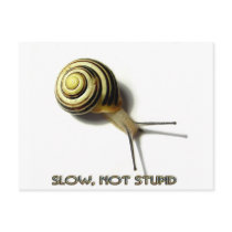 SNAIL WITH CAPTION FROM JUNGLEWALK.COM