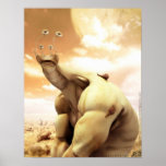 Snailmaster posters