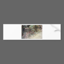 snake bumper stickers