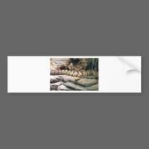 snake bumper stickers
