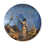 Snake Charmer magnets