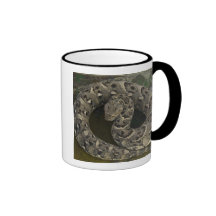 Snake Charmer's African Puff-adder Bitis Coffee Mug