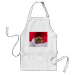 Snake curled up in Santa hat, ball python aprons