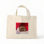 Snake curled up in Santa hat, ball python bags