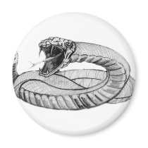 Snake Eyes Fridge Magnets