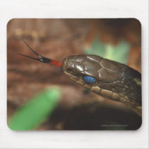 snake mousepads