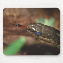 snake mousepad