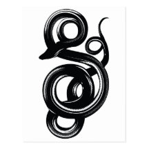 Snake Post Card