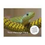 Snake Post Card