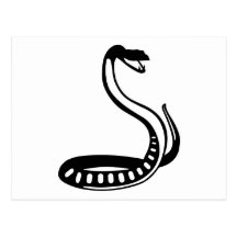 Snake Postcard