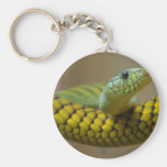 Snake Reptile Keychain