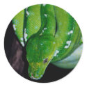 Snake Stickers