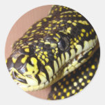 Snake Yellow and Black Stickers