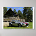 SnakeNGrass posters
